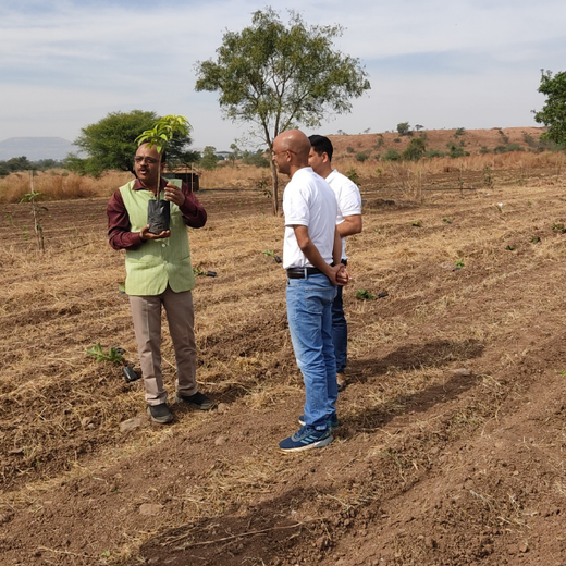 AIT’s Green Start to 2025: Growing Bonds, Growing Trees – Planting
