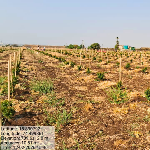 Planting Hope for Future Generations with Dentsu Global Services – 6 months