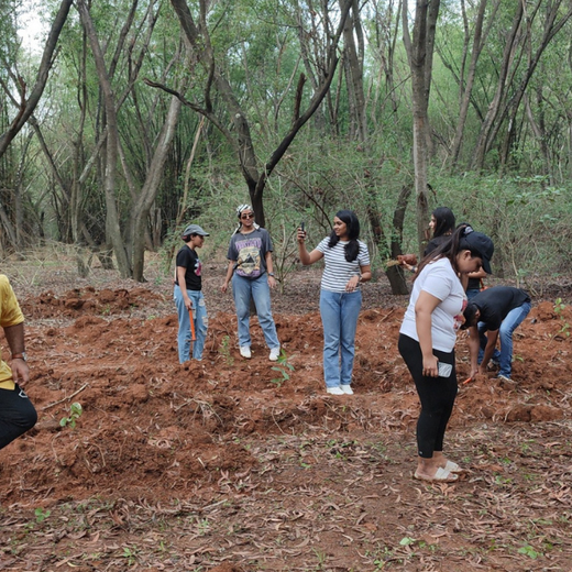 Headout's Commitment to Green Spaces: Empowering Employees with Urban Forests – Planting