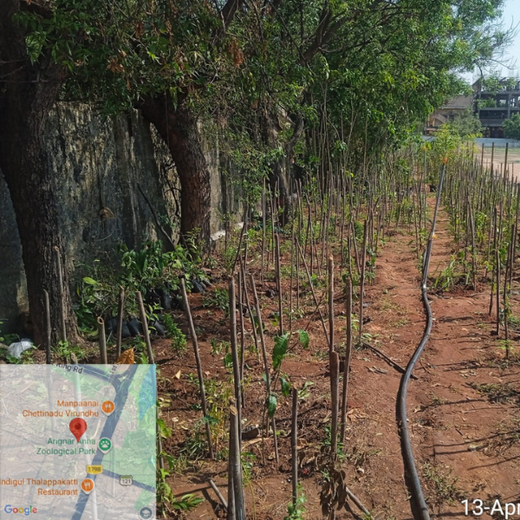Caterpillar’s Learning Forest: Shaping Green Futures in Vandalur – 6 months