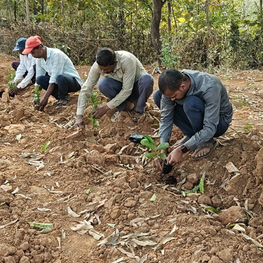 CNBC-TV18, EDF, and Climate Collective Unite for Agroforestry at Climate Tech Convening India 2025 – Planting