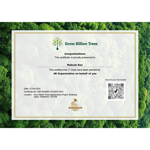 Eco-Leadership: JK Organisation's Agroforest Vision – Planting
