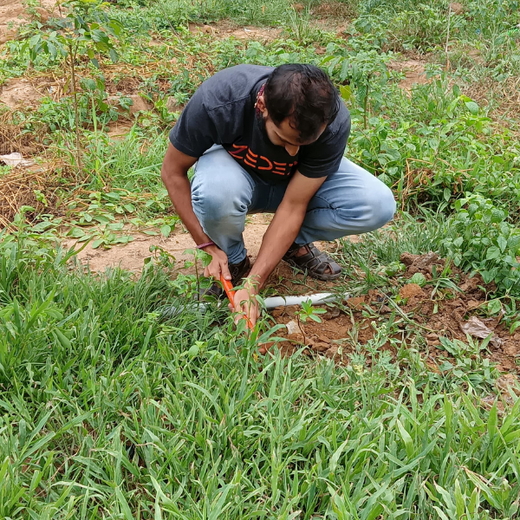 Cultivating Urban Change: Zededa India’s Tree Planting Drive – Planting