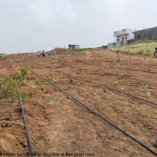 Himalaya’s Agroforestry Path to Environmental Health – 6 months