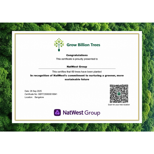 NatWest Digital Services India’s Urban Forest Initiative in Bengaluru – 6 months