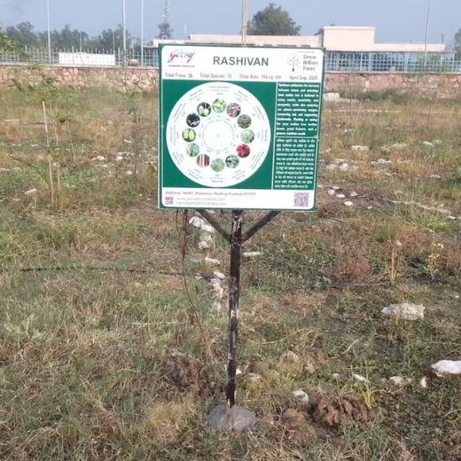 Forest by Design: Godrej Turns Industrial Space into Biodiversity Hub – 1 year