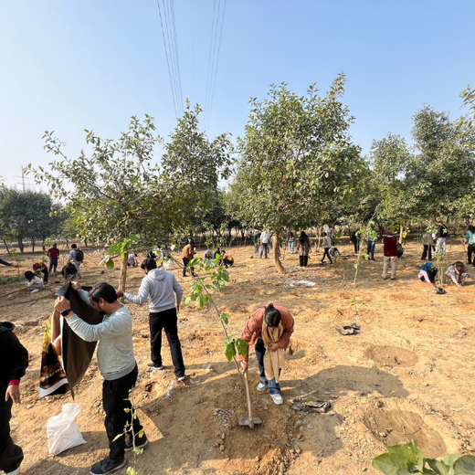 Nurturing Connections: Advance Estimating’s Tree Plantation for Team Synergy – Planting