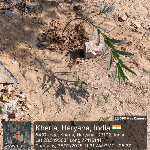 A Green Step This Christmas in Gurgaon by Yatendra Singh – 6 months