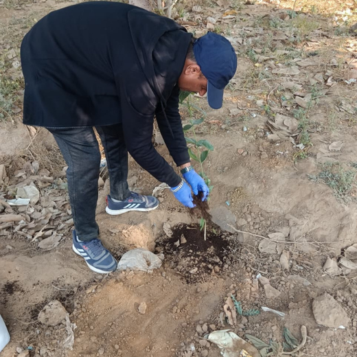 A Green Step This Christmas in Gurgaon by Yatendra Singh – Planting