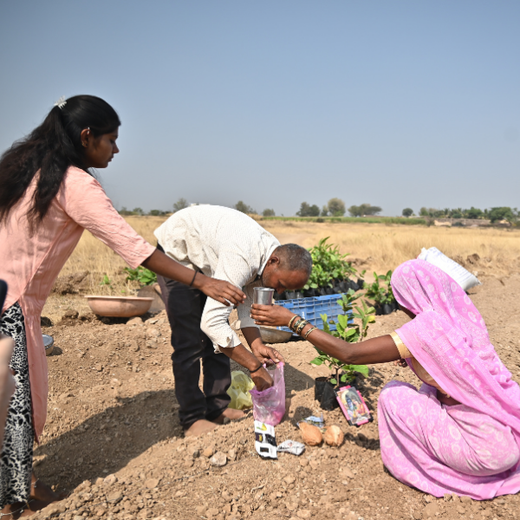 Reforesting with Purpose: We4All’s Tree Plantation for Climate & Livelihood – 6 months