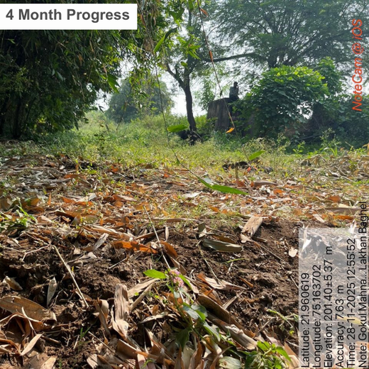 Trees of Love: Aradhana’s Gift to Gokul and the Planet – 1 year