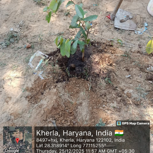 A Green Step This Christmas in Gurgaon by Yatendra Singh – 6 months