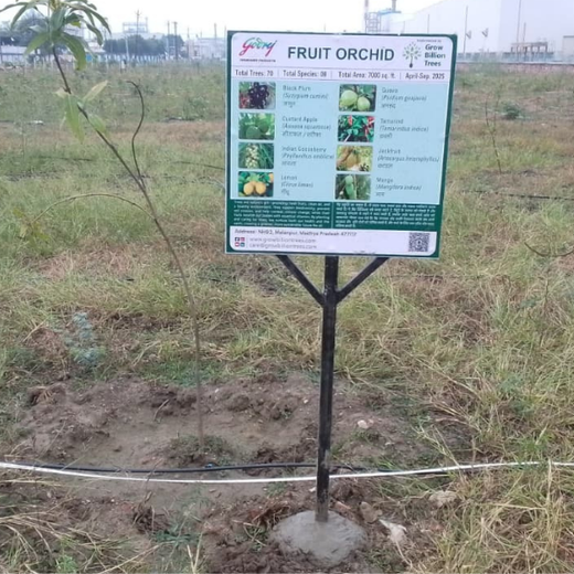 Forest by Design: Godrej Turns Industrial Space into Biodiversity Hub – 1 year