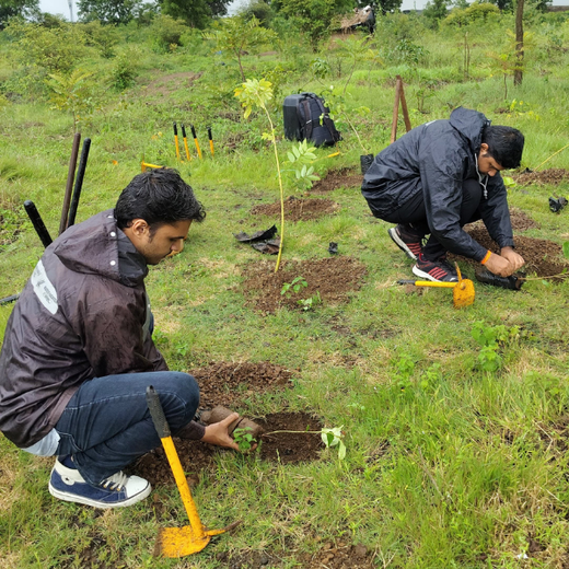 Valmont Structures: Growing Urban Forests, Growing Responsibility – Planting