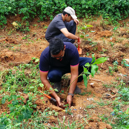 Cultivating Urban Change: Zededa India’s Tree Planting Drive – Planting