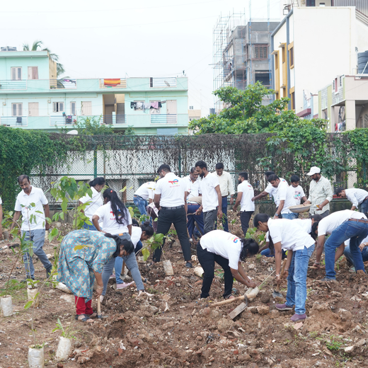 TotalEnergies Brings Together Teams to Grow an Urban Micro Forest – 6 months
