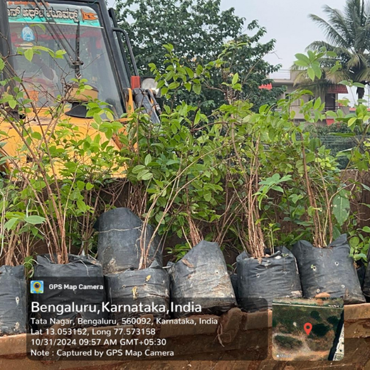 TotalEnergies Brings Together Teams to Grow an Urban Micro Forest – Planting