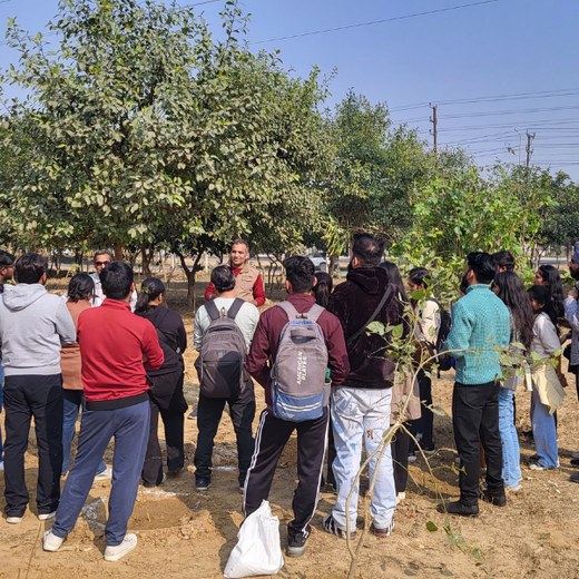 Nurturing Connections: Advance Estimating’s Tree Plantation for Team Synergy – Planting