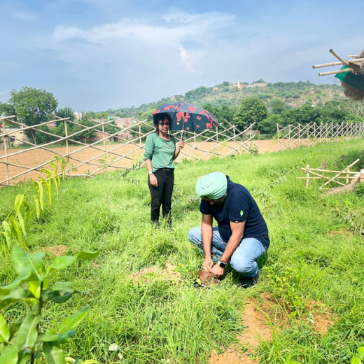"Eco-Engagement: MongoDB’s Urban Forest Tree Planting for a Greener World" – Planting