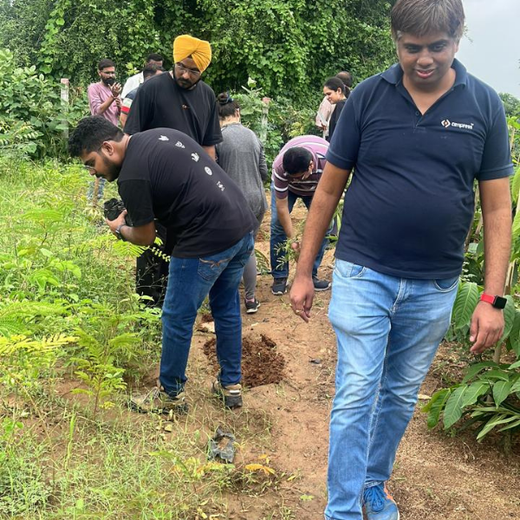 Greening Ahmedabad: Cimpress’s Urban Forest Initiative – Planting
