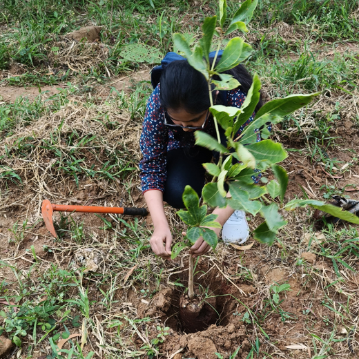 “Cimpress Bangalore's Green Quest: Building Urban Forests, Empowering Employees” – Planting