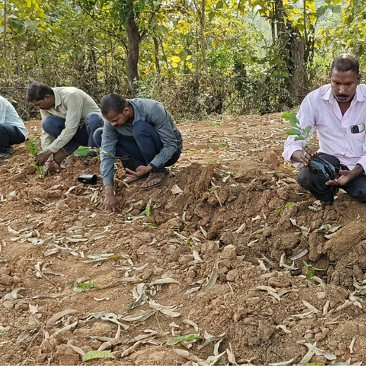 CNBC-TV18, EDF, and Climate Collective Unite for Agroforestry at Climate Tech Convening India 2025 – Planting
