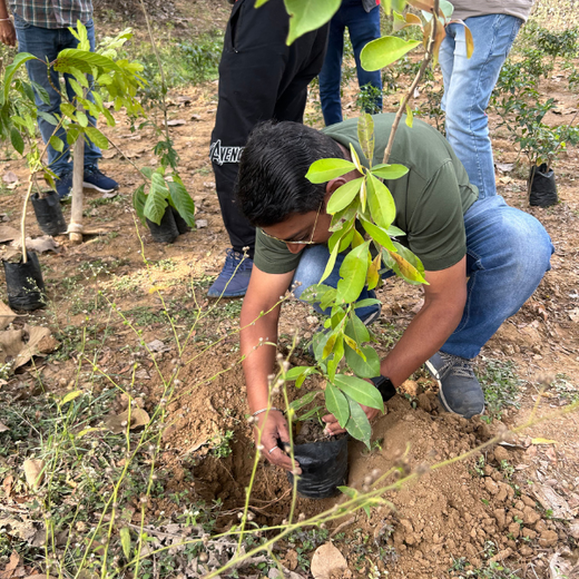 "Fostering Growth: TATA AIG’s Employee-Driven Agroforest Project in Nagpur" – Planting