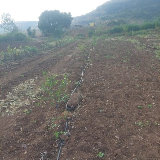 Nature First: Tarasafe’s World Nature Conservation Day Drive – 6 months
