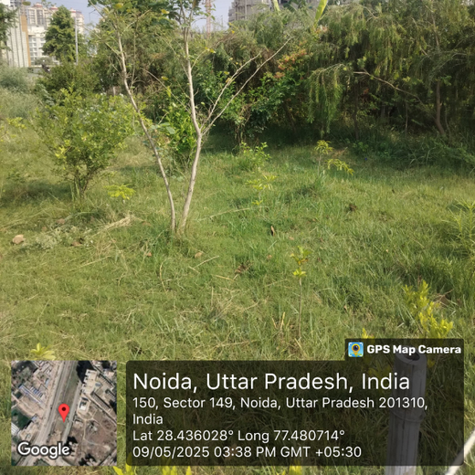 Celebrating Inspiring Women on Women’s Day: Rajpal Singh Duggal’s Urban Forest Initiative – 6 months