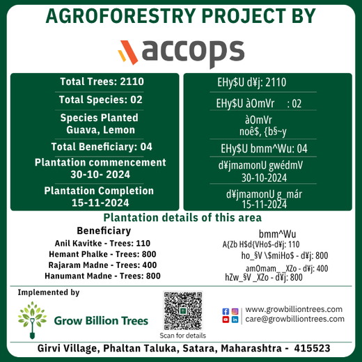 Accops Brings Green Gifts to Diwali: A Tree Plantation Initiative in Agroforestry – 6 months