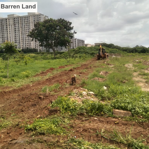 TotalEnergies Brings Together Teams to Grow an Urban Micro Forest – Planting