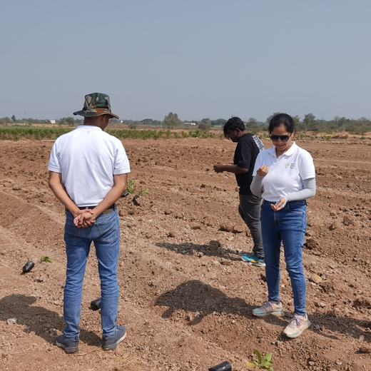 Reforesting with Purpose: We4All’s Tree Plantation for Climate & Livelihood – 6 months