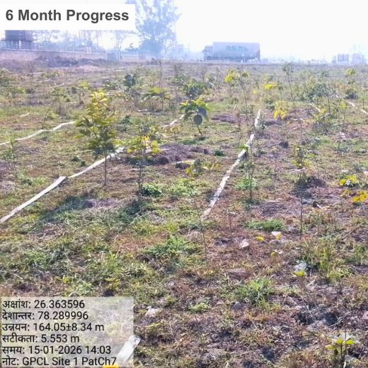 Forest by Design: Godrej Turns Industrial Space into Biodiversity Hub – 2 years