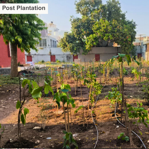 Advancing Sustainability Through OneAdvanced’s CSR Initiative – 6 months