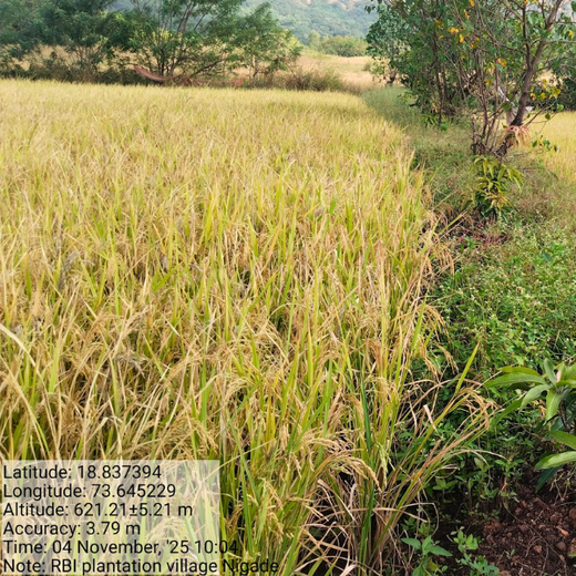 AgroForestry for Digital Payment Awareness Week - By Reserve Bank Of India(RBI) – 1 year