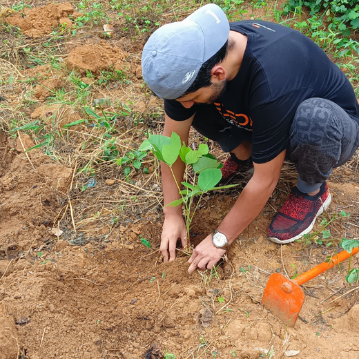 Cultivating Urban Change: Zededa India’s Tree Planting Drive – Planting