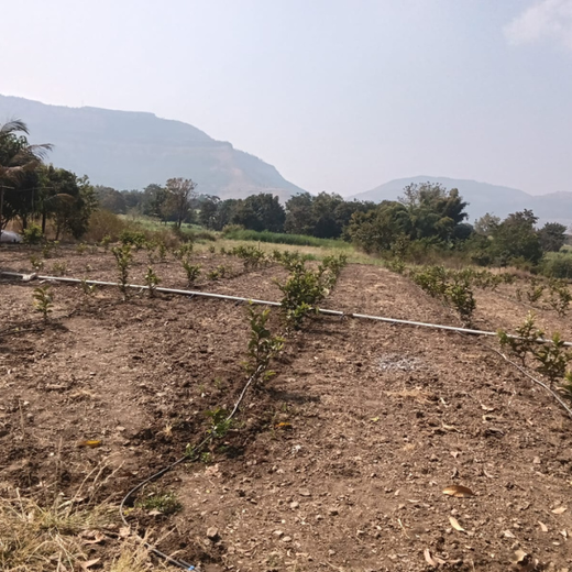 Growing Gratitude: Meyer Organics’ Green Gift for Doctors – 2 years
