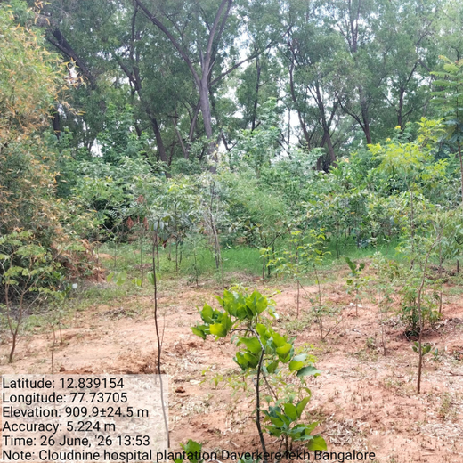 A Breath of Fresh Air: Cloudnine Hospitals' Commitment to Urban Forests – 2 years
