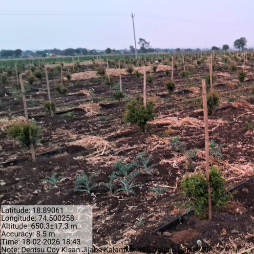 Planting Hope for Future Generations with Dentsu Global Services – 6 months