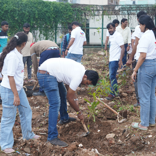TotalEnergies Brings Together Teams to Grow an Urban Micro Forest – 6 months