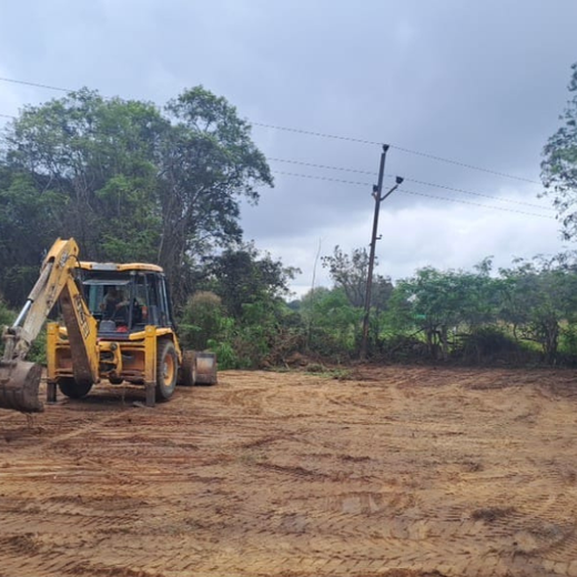 Greening the Future: Alliad’s Urban Forest Initiative – Planting
