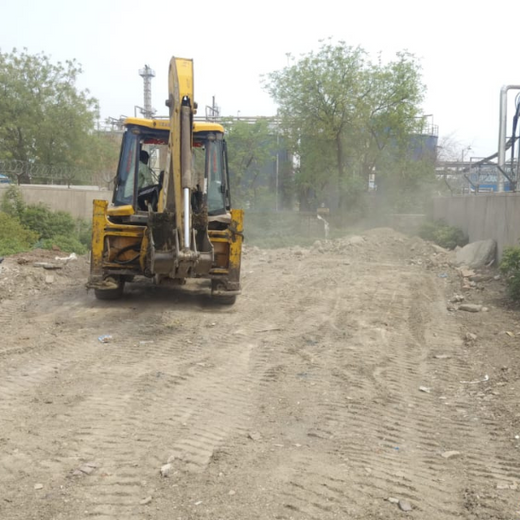 Forest by Design: Godrej Turns Industrial Space into Biodiversity Hub – Planting