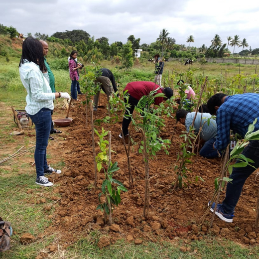 NatWest Digital Services India’s Urban Forest Initiative in Bengaluru – 6 months