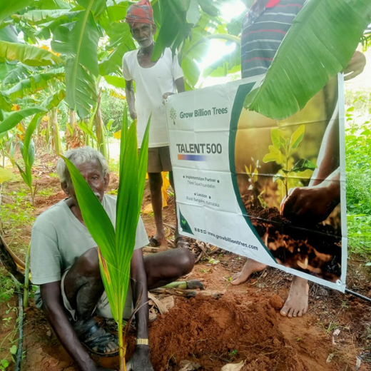 Agroforest Ambitions: Talent500 Plants the Seeds for a Greener Bangalore – Planting
