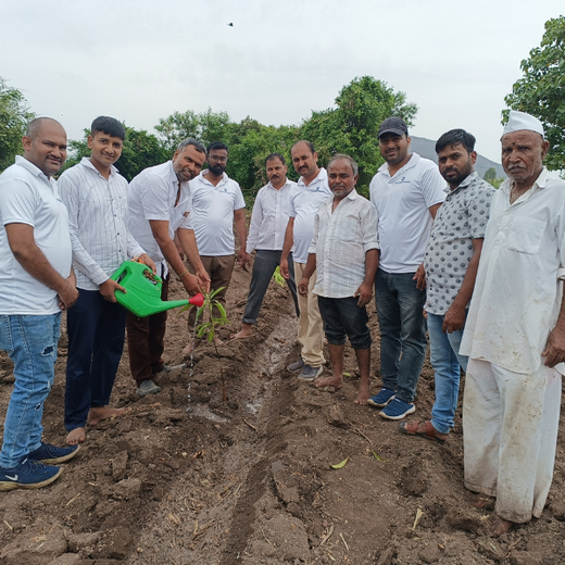 Gensol Goes Green: Agroforestry for Employees in Pune – Planting