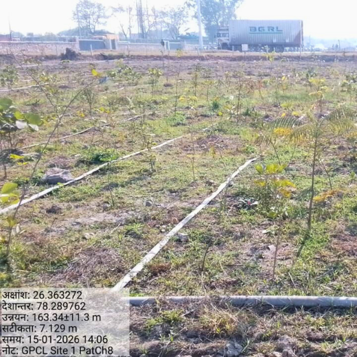 Forest by Design: Godrej Turns Industrial Space into Biodiversity Hub – 2 years