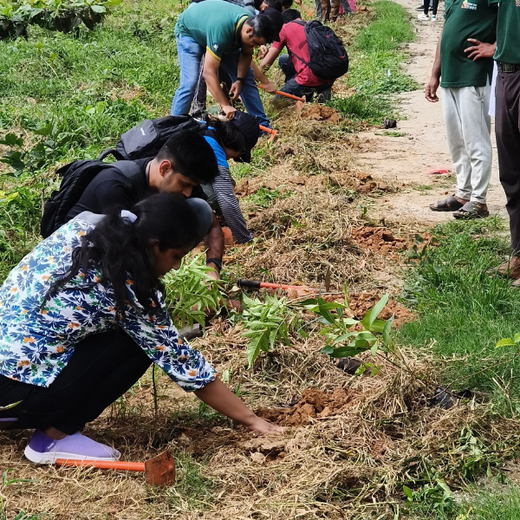 “Cimpress Bangalore's Green Quest: Building Urban Forests, Empowering Employees” – Planting