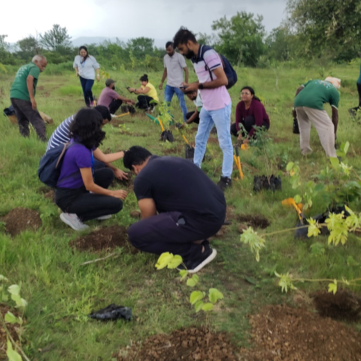 Valmont Structures: Growing Urban Forests, Growing Responsibility – Planting