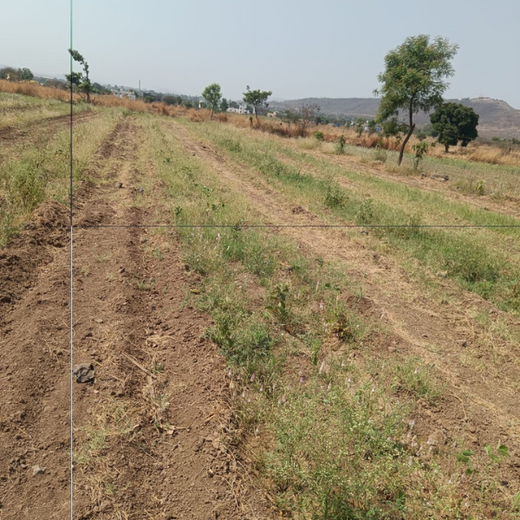 AIT’s Green Start to 2025: Growing Bonds, Growing Trees – 6 months