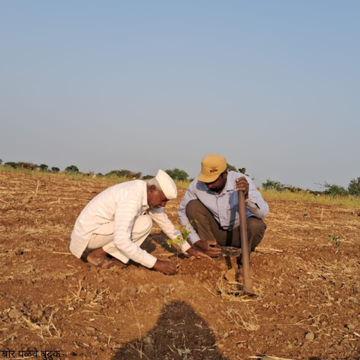 Planting Hope for Future Generations with Dentsu Global Services – 6 months